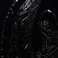 51